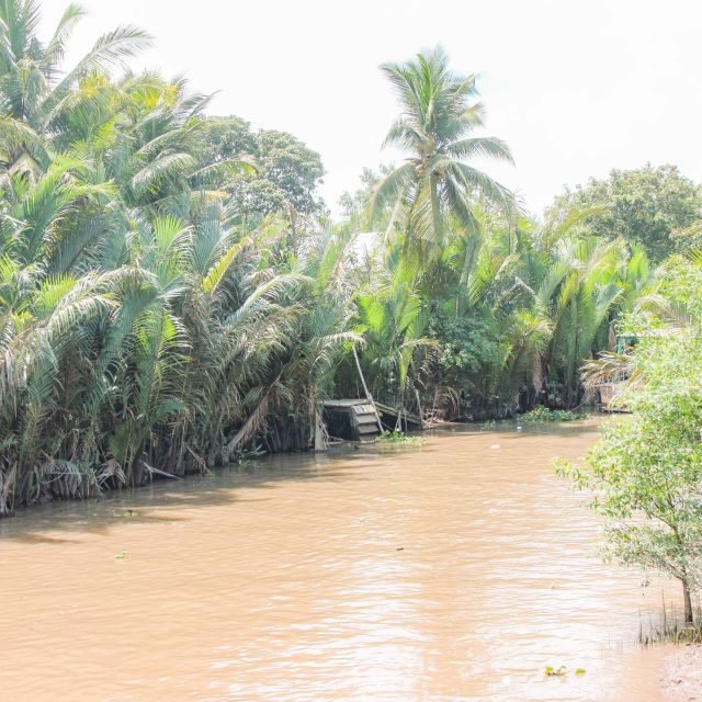 From Ho Chi Minh City: Mekong Delta Private Full-Day Tour - Family-Run Business, Fruit Orchard Stops, and Coconut Candy