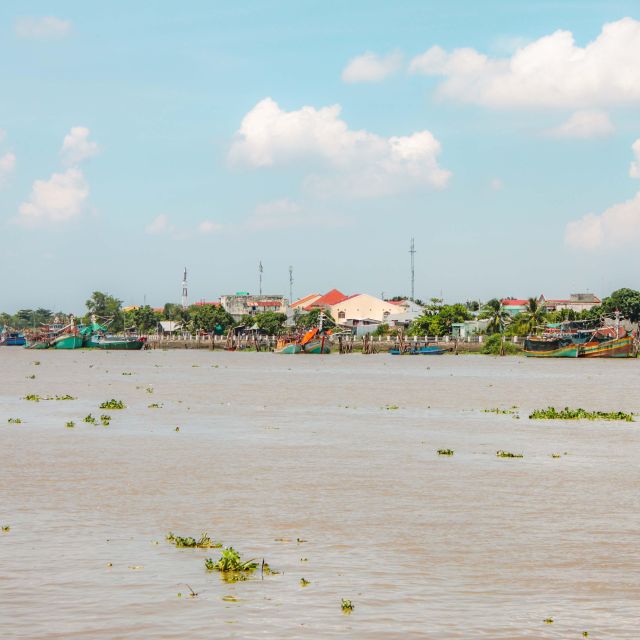 From Ho Chi Minh City: Mekong Delta Private Full-Day Tour - Price and Value: What You Get for About $105