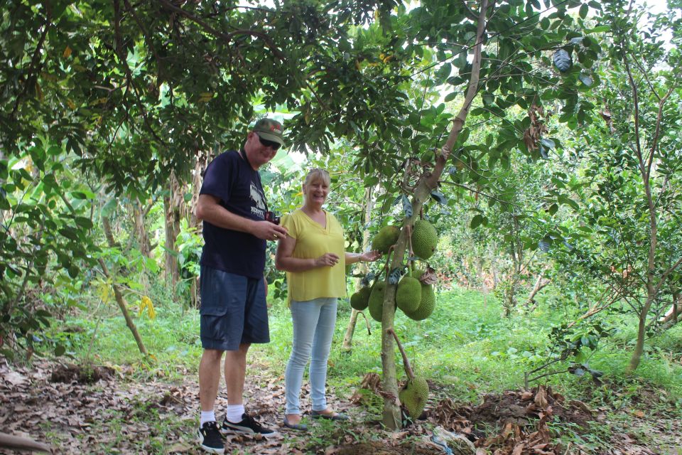 From Ho Chi Minh: Mekong Delta Private Day Tour - How an 8-Hour Mekong Day Works From Ho Chi Minh City