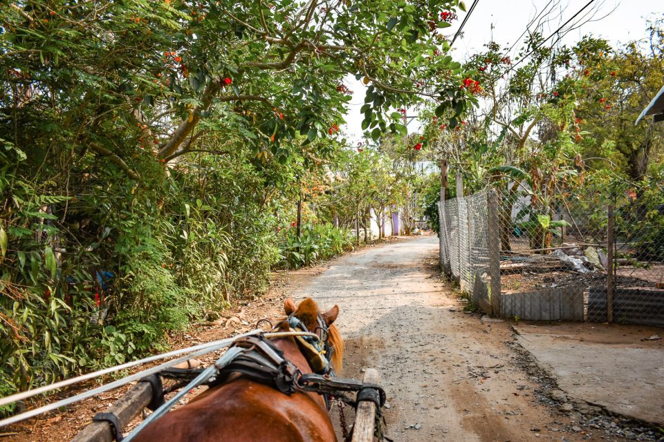From Ho Chi Minh: Mekong Delta Private Day Tour - Optional Python Farm Stop: For Curious Minds, Skip for Cautious Ones
