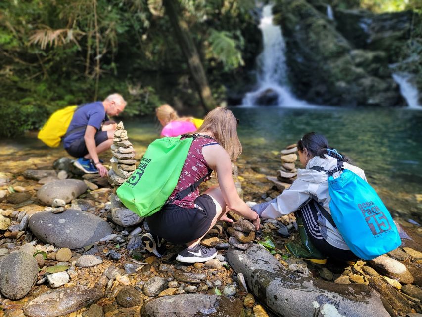 From Hue: Bach Ma National Park Hiking Day Trip with Pickup - Bach Ma National Park: why this hike feels like more than a drive-by