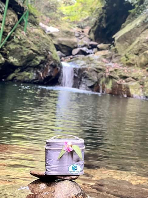 From Hue: Bach Ma National Park Tour with Picnic Lunch - English-Speaking Guides and Group Pace: When It Feels Effortless