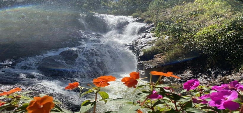 From Nha Trang: Best Seller Top Site Luxury Da Lat City Trip - Datanla Falls: dramatic views with optional add-ons