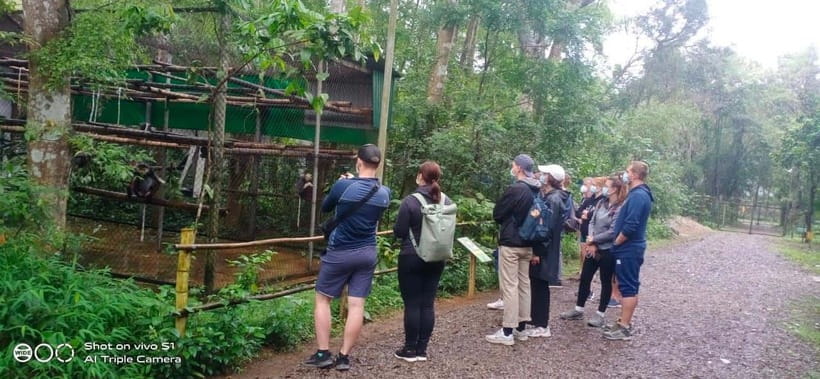 From Ninh Binh Small Group Discover Cuc Phuong National Park - Price and Value: Is $44 Worth It?