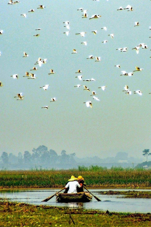 From Ninh Binh: Visit Cuc Phuong National Park - Van Long - Lunch at the park entrance: fueling for the afternoon hike