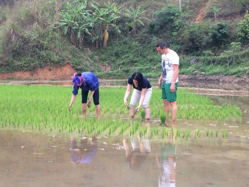 From Sa Pa: 5-Hour Muong Hoa Valley Trek and Ethnic Tribes - Getting from Sa Pa to the trail: short road walking, then village life