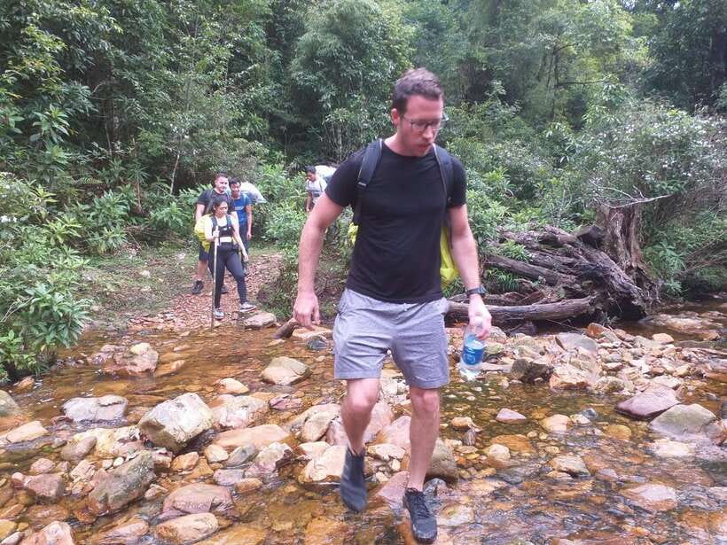 From Sa Pa: One Day Fansipan Mountain Trek - The Trek Through Bamboo and Rainforest: What You’ll Feel Along the Way