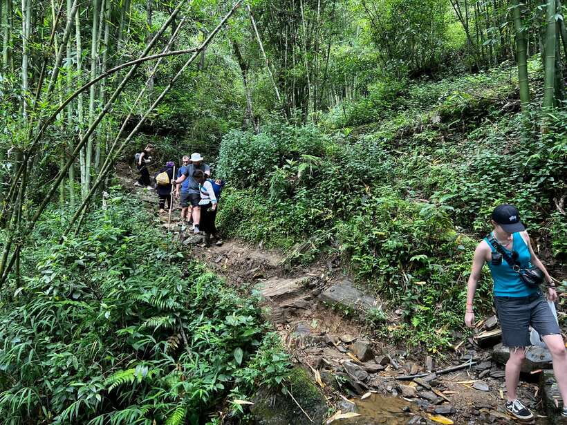 From Sa Pa: One Day Fansipan Mountain Trek - Price and Value: Is $79 Fair for What You Get?