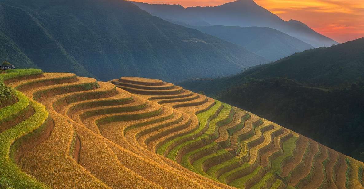 From Sapa: 1-Day Guided Trek to Lao Chai & Ta Van with Lunch - Lao Chai: Black Hmong Terraces, Village Life, and a Real Lunch