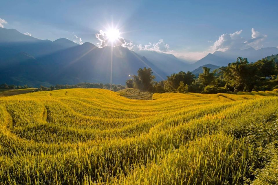 From Sapa: 1-Day Guided Trek to Lao Chai & Ta Van with Lunch - How Hard Is This Trek, Really? Mud, Weather, and Footing