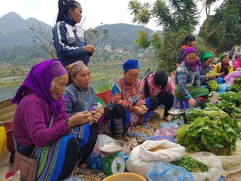 From Sapa: 1D Local Bac Ha Sunday Market Tour - Best seller - Lunch in a small mountain town: simple and local