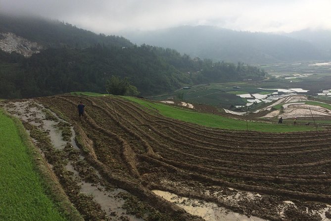 From Sapa: 2-Day Trek Through Authentic Villages in North - Sapa - Northern Sapa Village Trek: Better Than a Day Trip