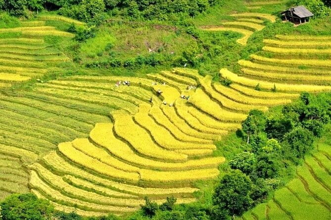 From Sapa: 2 Days 1 Night Trek Over Night At Homestay - Supan Village Lunch and the Trip Back to Sapa
