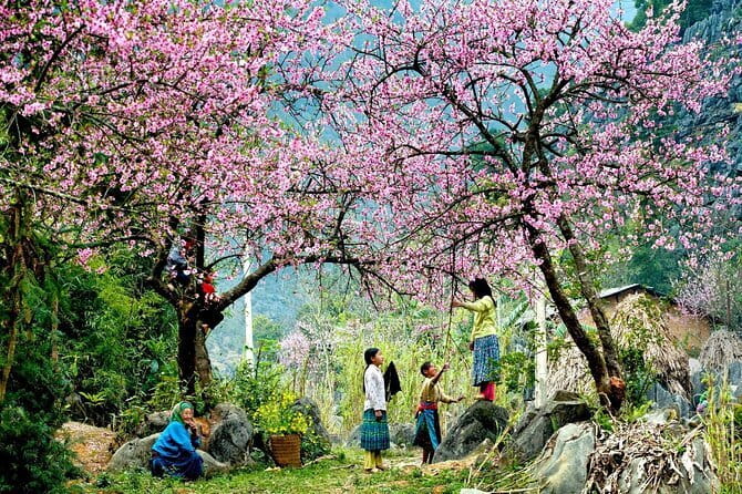 From Sapa: 2 Days 1 Night Trek Over Night At Homestay - Y Linh Ho and Lao Chai: Terraced Fields and Village Walks