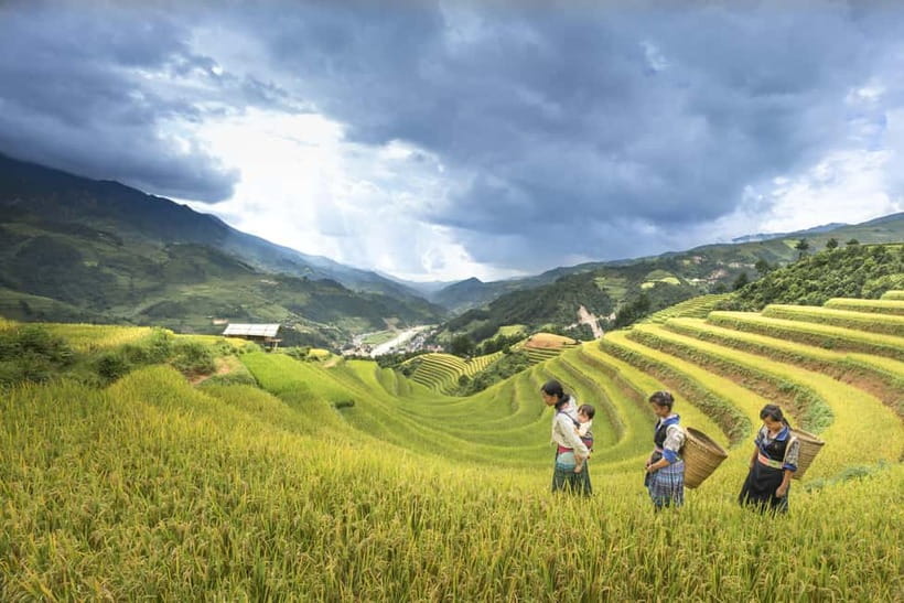 From Sapa Homestay Hideaway 2-Day Local Life Adventure - Day 2: Red Dao villages, a longer walk than it sounds