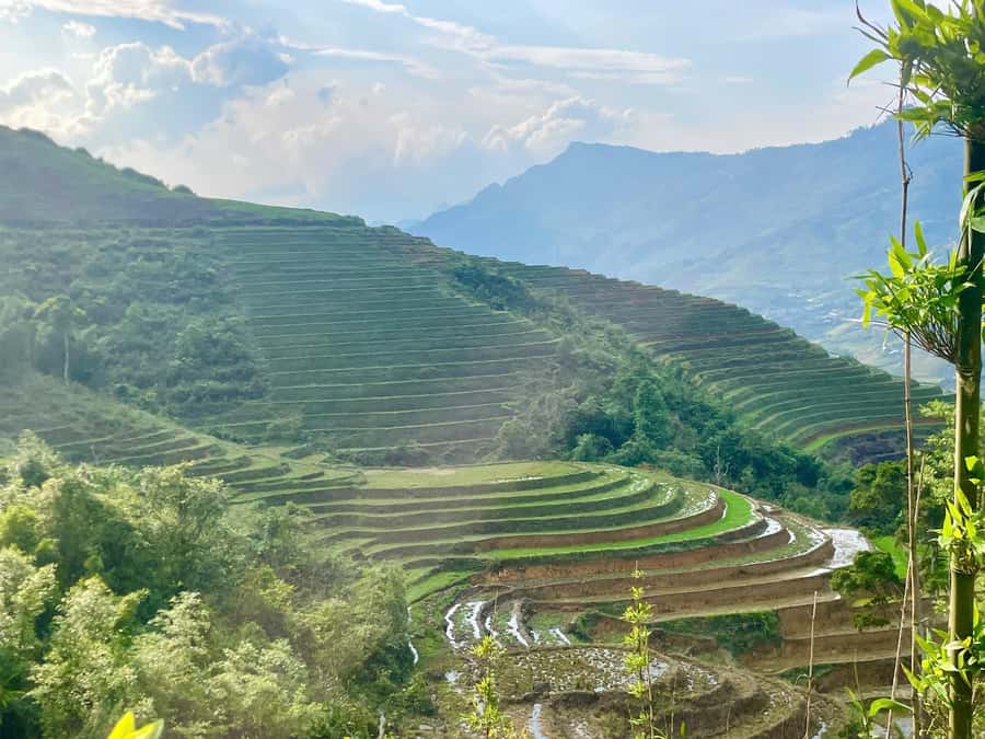 From Sapa: Sapa Trekking Private Tour With Female Guide - Muong Hoa valley and the Dzay group: rice terraces you can actually see up close