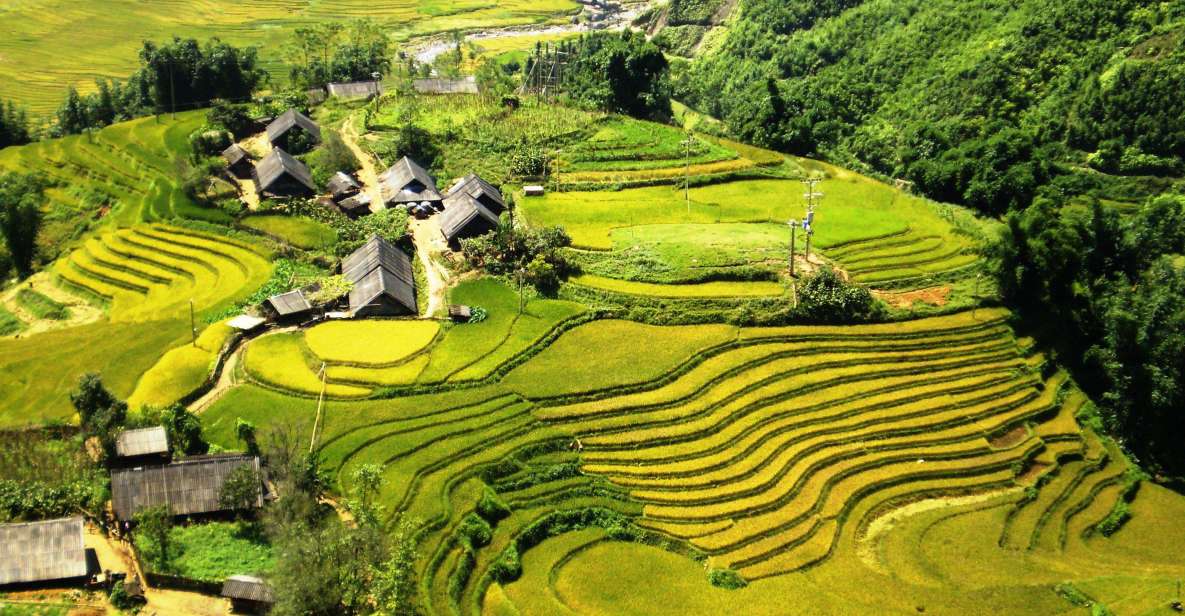 From Sapa: Terrace Fields and Local Villages Trek with Lunch - Sapa’s Terraced Fields: Why the Walk Matters
