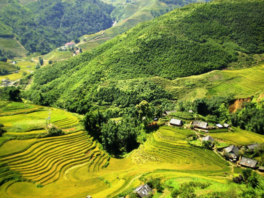 From Sapa: Terrace Fields and Local Villages Trek with Lunch - Who This Trek Fits Best (And Who Should Think Twice)
