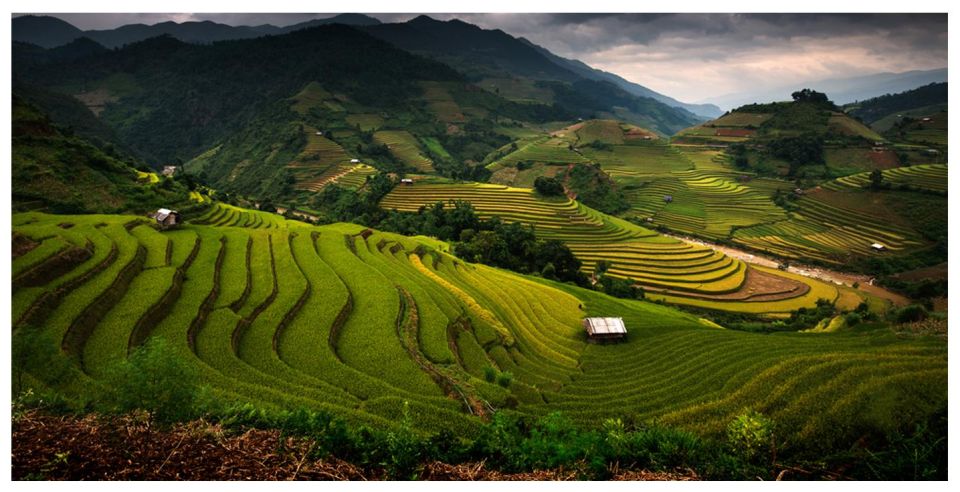 From Sapa: Terrace Fields and Local Villages Trek with Lunch - Pickup Window and a Realistic Sense of the 7 Hours