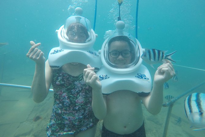 Full-day Cham Islands Cruise from Hoi An with Underwater Walking Excursion - Cham Islands cruise from Hoi An: the day’s simple idea