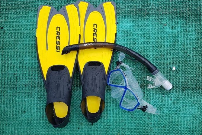 Full-day Cham Islands Cruise from Hoi An with Underwater Walking Excursion - Guides, safety diver, and the flow of the day
