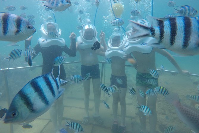 Full-day Cham Islands Cruise from Hoi An with Underwater Walking Excursion - Corals, fish, and why visibility changes your outcome