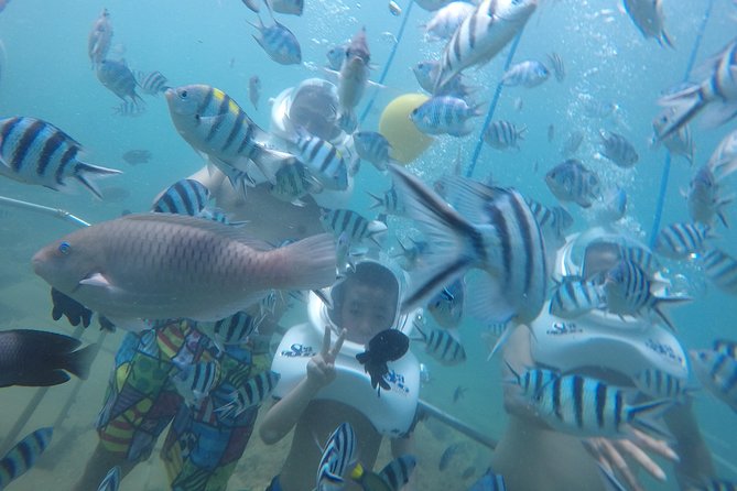 Full-day Cham Islands Cruise from Hoi An with Underwater Walking Excursion - From your hotel to Cua Dai wharf: getting started without stress