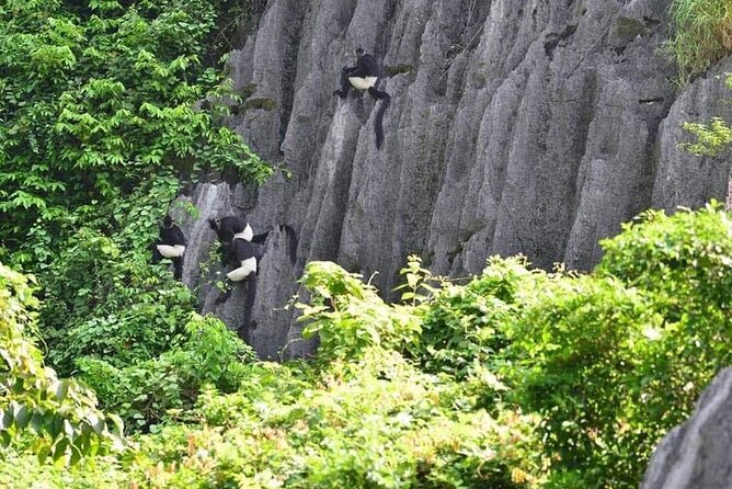 Full-Day Cuc Phuong National Park Hiking Tour - Ninh Binh to Cuc Phuong: why this road trip format works