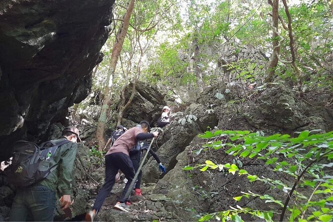 Full-Day Cuc Phuong National Park Hiking Tour - Entering Cuc Phuong: walking in primary forest (not just a scenic stroll)