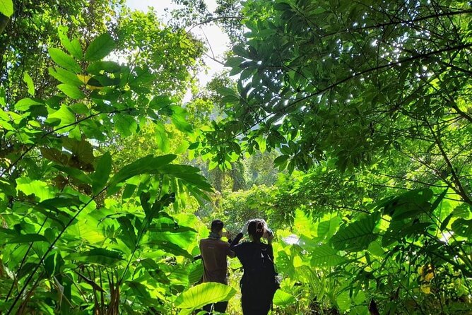 Full-Day Cuc Phuong National Park Hiking Tour - Lunch, snacks, and the small food math you’ll want to do