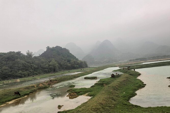Full-Day Cuc Phuong National Park Hiking Tour - Price and logistics: what $24 really buys you