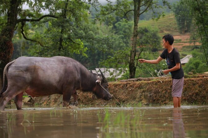 Full Day Cultural Tour in Sapa Terraces - Key things to know before you go