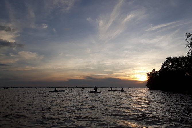 Full Day Experience Mekong River Life By Kayak & Boat. - Key highlights worth planning around