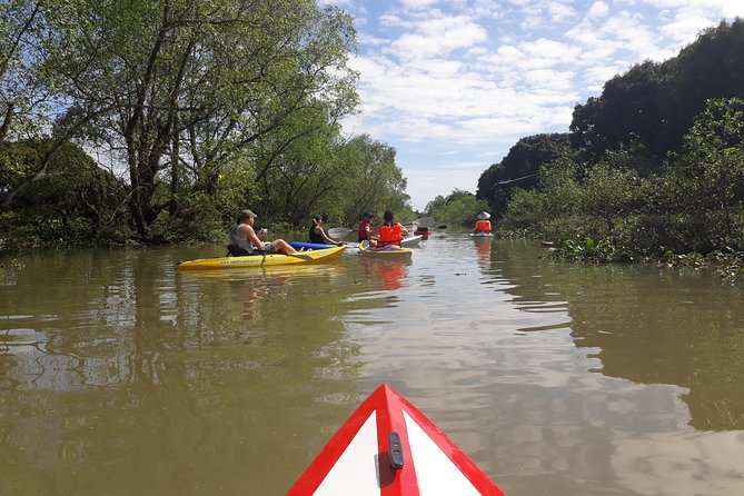 Full Day Experience Mekong River Life By Kayak & Boat. - Wet market walk: the land version of the river economy