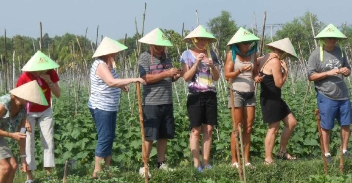 Full-Day Farming & Cooking class at Agricultural Village - Key highlights you’ll care about