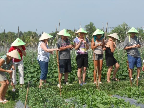 Full-Day Farming & Cooking class at Agricultural Village - Feeding cattle and spotting crops: life on the Cu Chi grounds