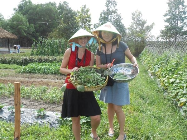 Full-Day Farming & Cooking class at Agricultural Village - Price and logistics: why $70 feels fair (or not) for this day