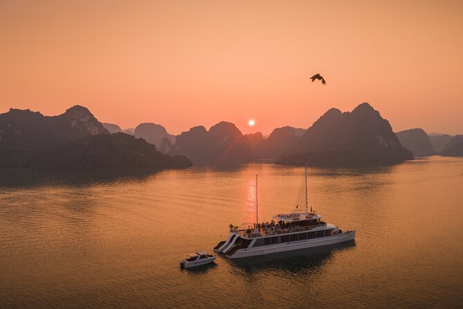 Full Day Group Tour in Lan Ha Bay - Key highlights at a glance