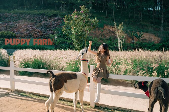 Full-Day Highlight of Da Lat –The famous tourist attractions 2025 - Key things to know before you go