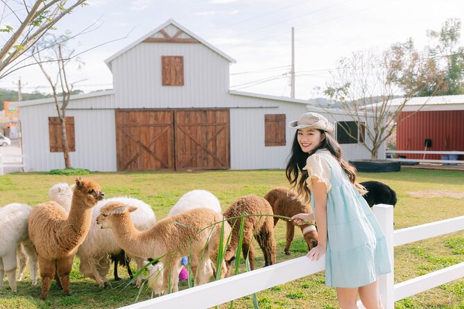 Full-Day Highlight of Da Lat –The famous tourist attractions 2025 - Puppy Farm (Stop 1): rare dogs, alpaca, and ponies