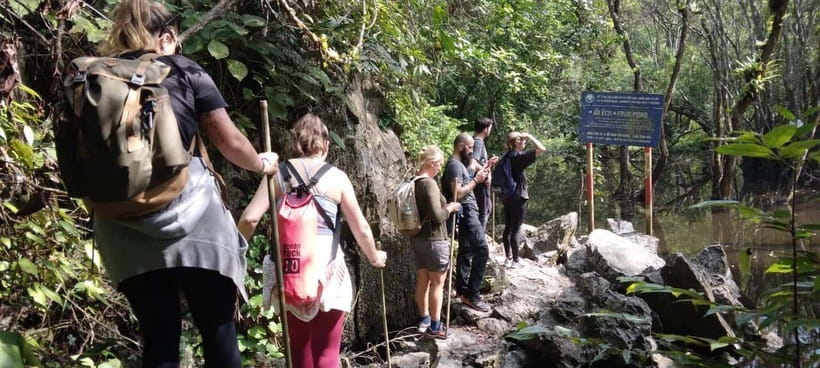 Full day hike - climbing in Jungle of Cat Ba National park - Frog Pond pause: Va Nuoc trees and a reset for your legs