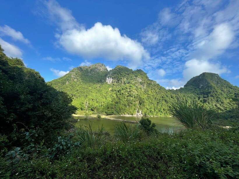 Full day hike - climbing in Jungle of Cat Ba National park - Morning pickup and the climb starts at the gate