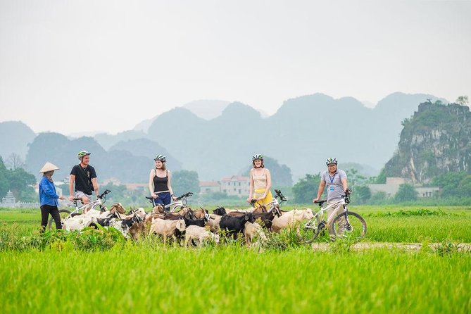 Full day Hoa Lu - Tam Coc sampan boat and countryside biking trip - What to pack for a long day with boat + bike