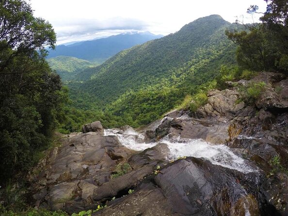 Full day: Hoi An - Bach Ma National Park - Key highlights that make this day trip work