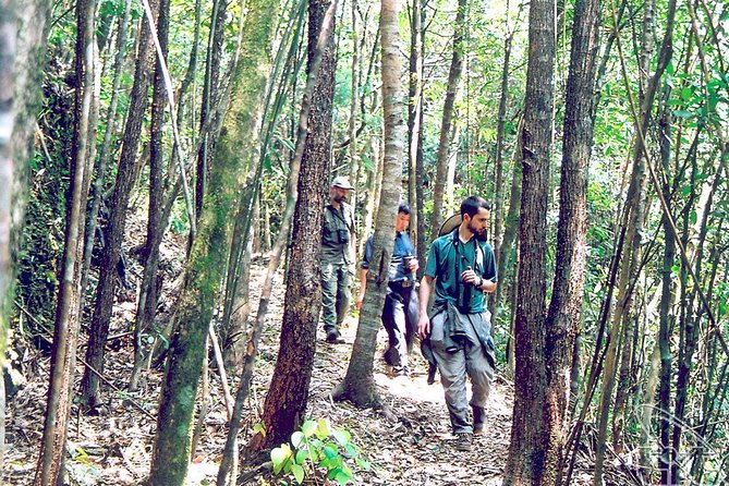 Full day: Hoi An - Bach Ma National Park - Small-group comfort and realistic expectations on organization