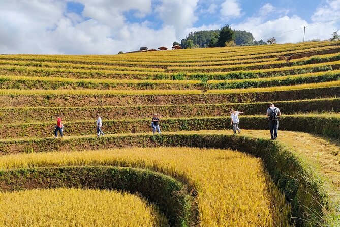 Full day motorbike Mu Cang Chai - Why Mu Cang Chai works so well on a motorbike