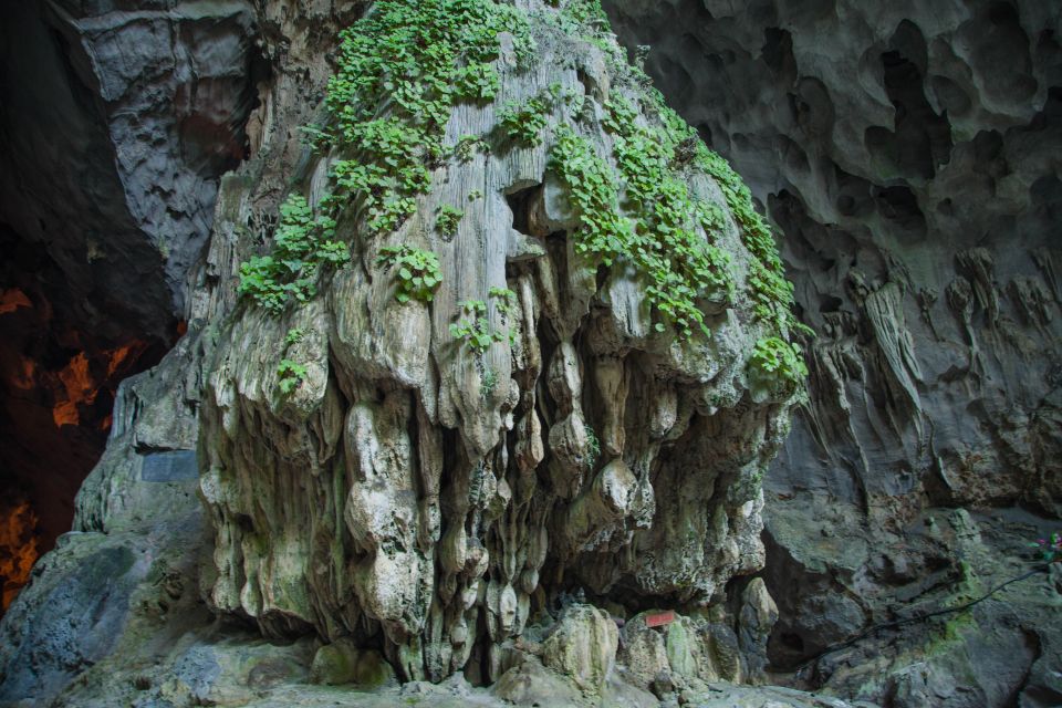 Full-Day Perfume Pagoda Private or Small-Group Tour - Trek up toward Huong Tich Cave: stairs, shade, and the best viewpoint