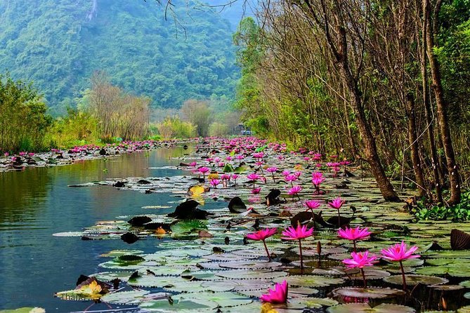 Full-Day Perfume Pagoda Small-Group Tour - The Yen Stream Rowboat Ride to Thien Tru Harbor