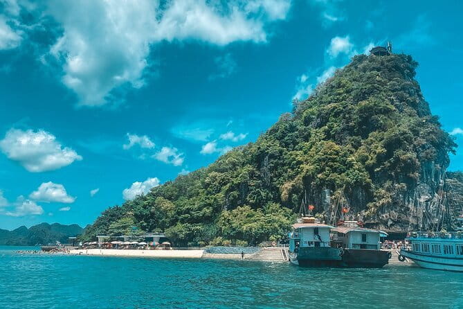 Full Day Private Tour in Halong with Lunch - Cave and island sightseeing: Ti Top views and Sung Sot time