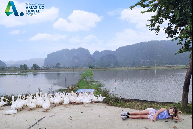 Full Day Private Tour in Ninh Binh(Trang An-Bich Dong-Mua Cave) - Mua Cave and Ngoa Long mountain: the climb for the view
